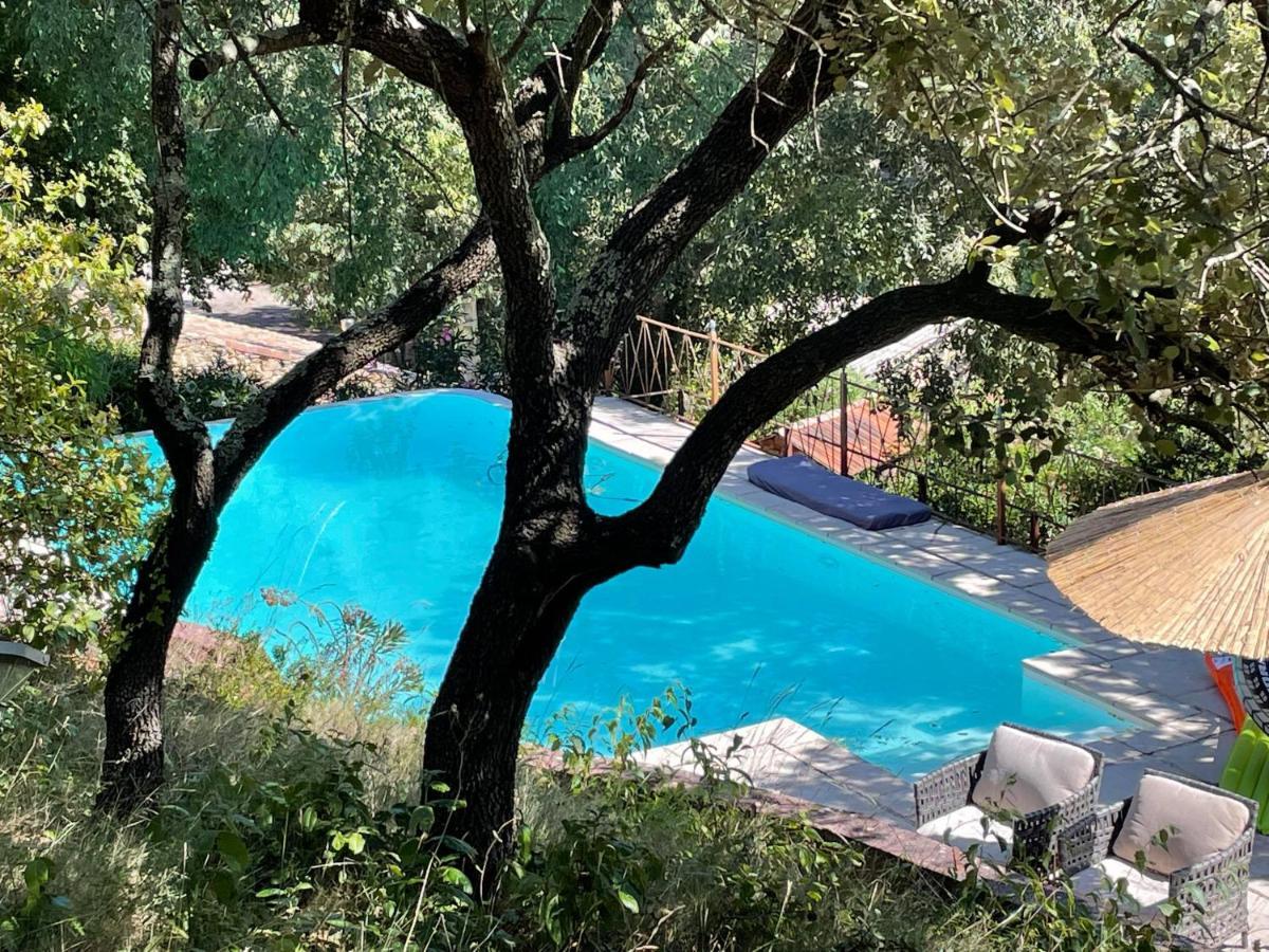 Jolie Annexe Du Mas Dans Le Coeur De La Garrigue Nimoise Villa Nimes Ngoại thất bức ảnh